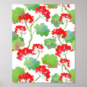 Affiche Fleurs rouges (Pelargonium)
