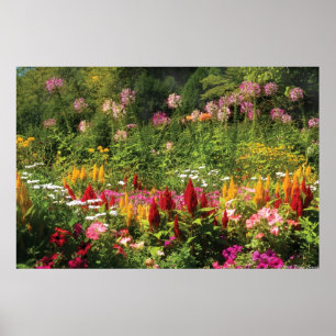 Affiche Fleurs sauvages