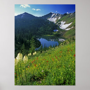 Affiche Fleurs sauvages alpins dans le bassin des bijoux