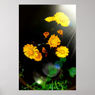 Affiche Fleurs sauvages au soleil