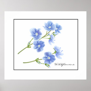 Affiche Fleurs sauvages Bleu-Poster