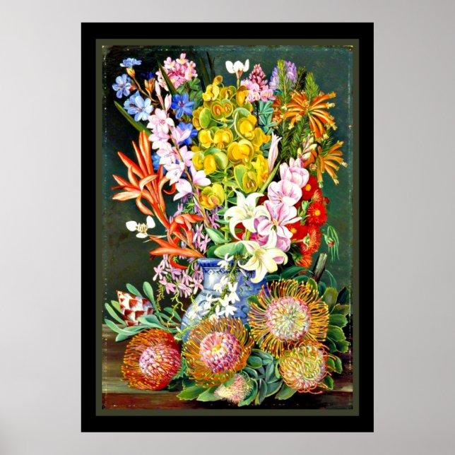 Affiche Fleurs sauvages de Ceres, Afrique du Sud (Devant)