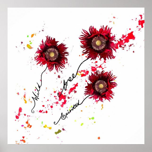 Affiche Fleurs sauvages de pavot sauvage (Devant)