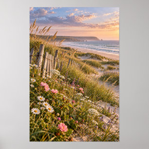 Affiche Fleurs sauvages des dunes côtières Coucher de sole
