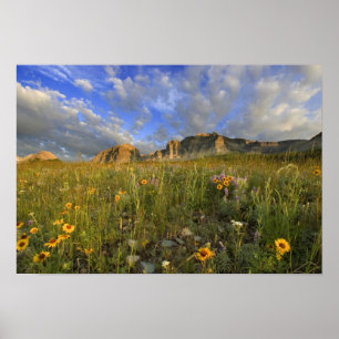 Affiche Fleurs sauvages des Prairies au ruisseau Windy dan