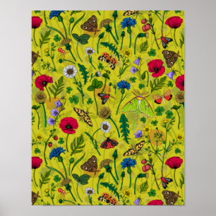 Affiche Fleurs sauvages et papillons de nuit 2