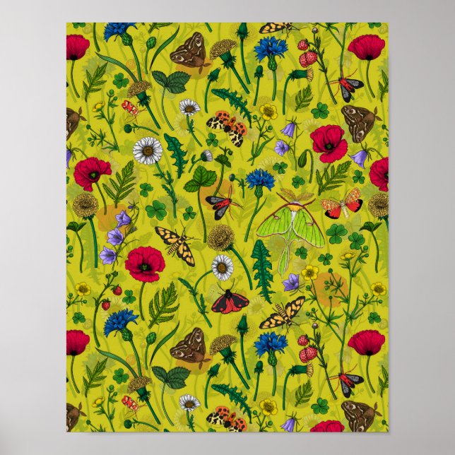 Affiche Fleurs sauvages et papillons de nuit 2 (Devant)
