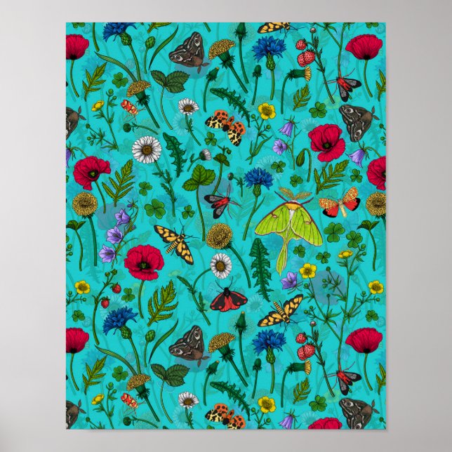 Affiche Fleurs sauvages et papillons de nuit sur turquoise (Devant)