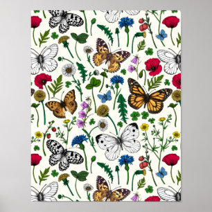 Affiche Fleurs sauvages et papillons sur blanc
