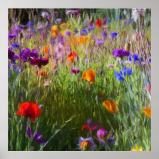Affiche Fleurs Sauvages, Fleurs De Cornouailles Et Poppies