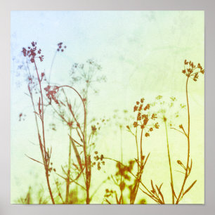 Affiche Fleurs sauvages pastel Abstrait moderne