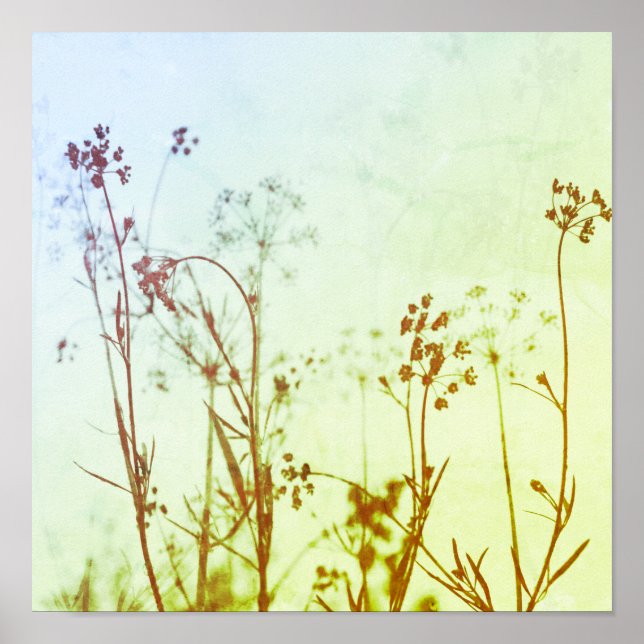 Affiche Fleurs sauvages pastel Abstrait moderne (Devant)