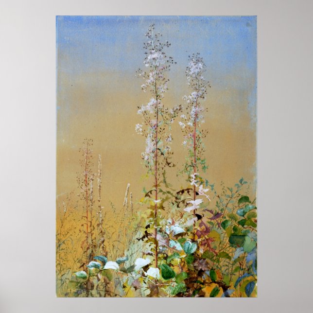 Affiche Fleurs sauvages Ponts Fidelia Aquarelle Art (Devant)