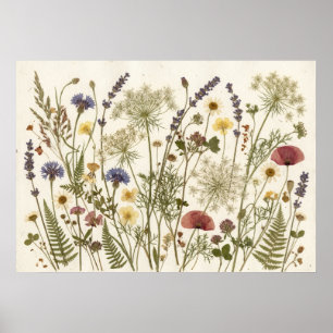 Affiche Fleurs Sauvages Séchées Art Botanique d'Herbier