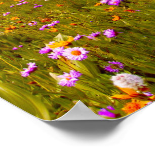 Affiche Fleurs sauvages sur prairie de montagne - Jaunes V