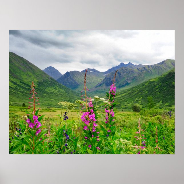 Affiche Fleurs sauvages Vallée d'Alaska (Devant)