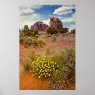 Affiche Fleurs sauvages - vallée de monument - l'Arizona