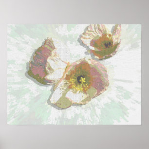 Affiche Fleurs superbes