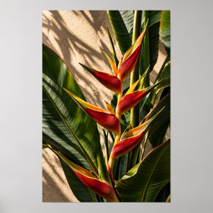 Affiche Fleurs tropicales de l'oiseau de paradis - Art mur