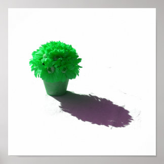 Affiche Fleurs vertes Bouche blanche et ombre