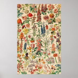 Affiche Fleurs vintages