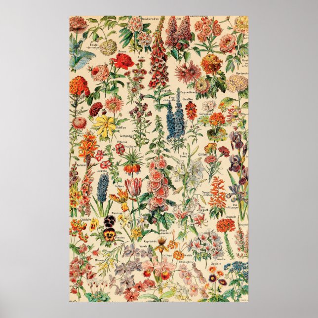 Affiche Fleurs vintages (Devant)