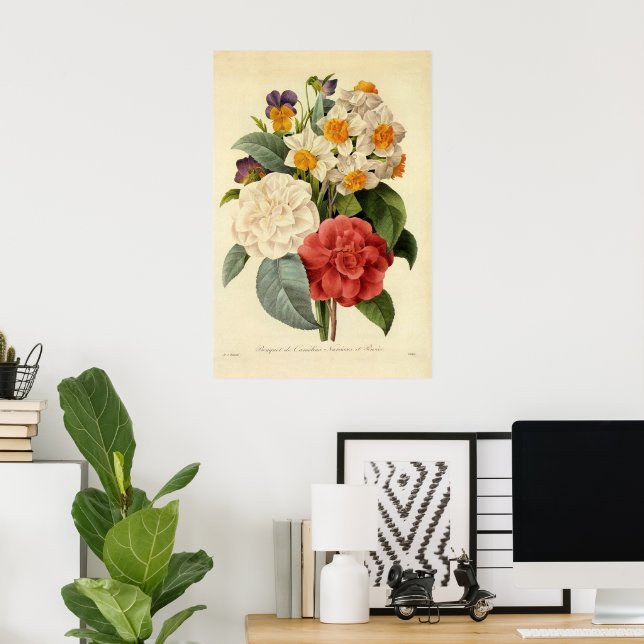 Affiche Fleurs vintages, Camellias et Narcisse, Redoute (Bureau à domicile)