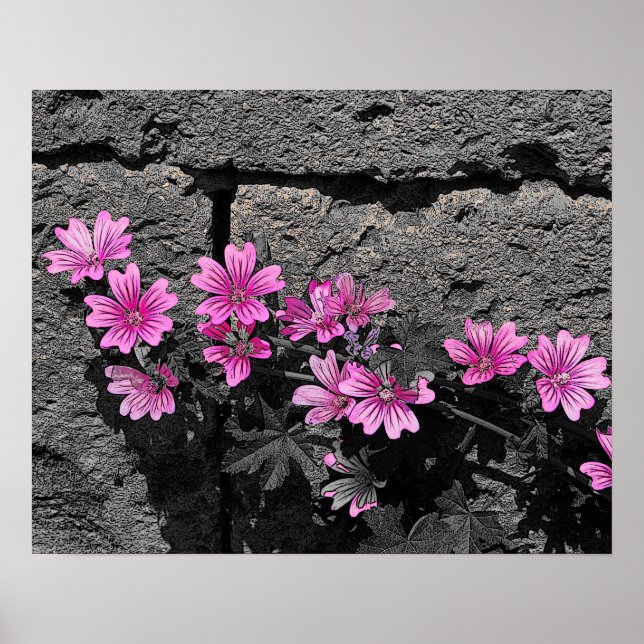 Affiche Fleurs violettes (Devant)