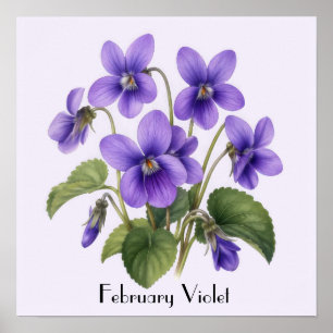 Affiche Fleurs Violettes de Février
