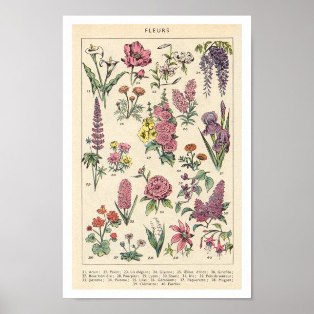 Affiche Fleurs violettes vintages (Devant)