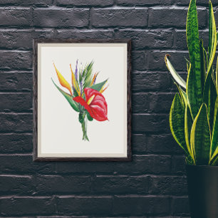 Affiche Fleurs vives de Red Anthurium Birds Of Paradise