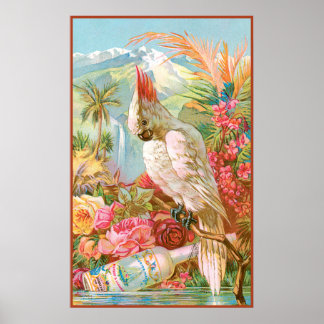 Affiche Fleurs vives et un cokateil