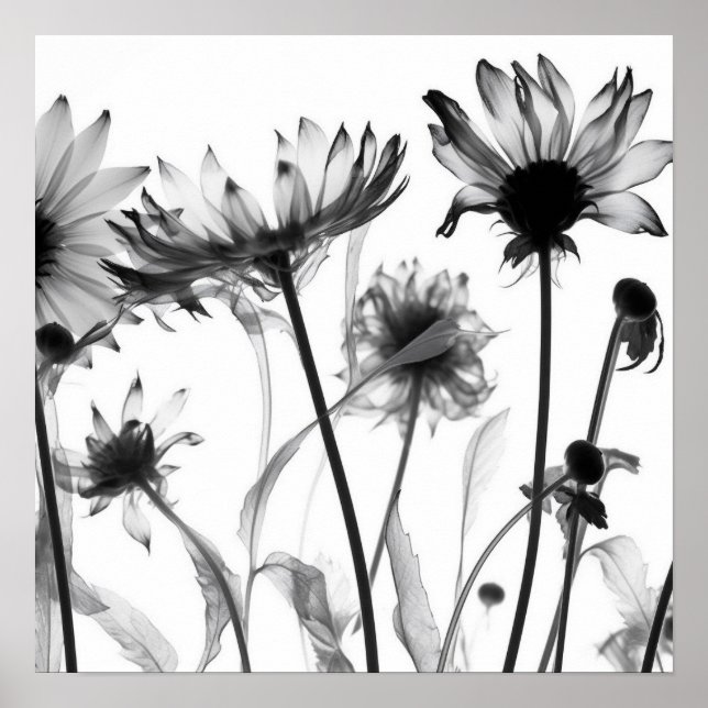 Affiche Fleurs X-Ray noir et blanc (Devant)