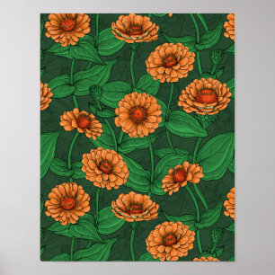 Affiche Fleurs Zinnia orange, feuilles verts sur vert fonc
