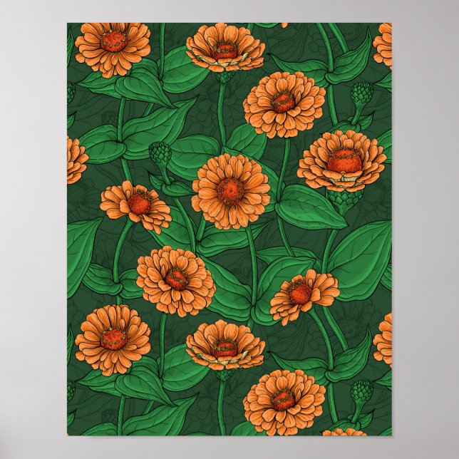Affiche Fleurs Zinnia orange, feuilles verts sur vert fonc (Devant)