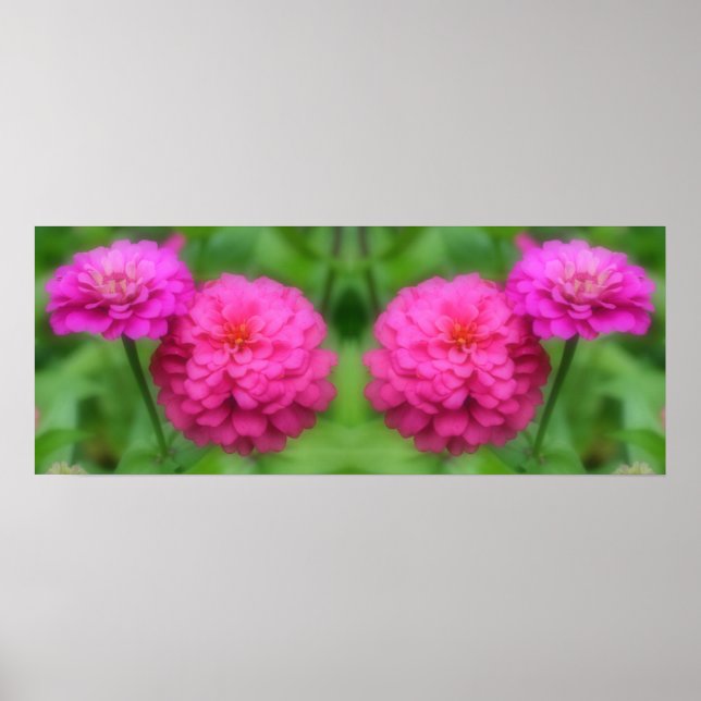 Affiche Fleurs Zinnia rose miroir Abstrait (Devant)