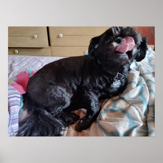 Affiche Flicker de la langue (Devant)