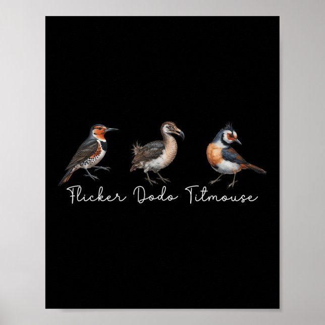 Affiche Flickr Dodo Titmouse Funny Bird Clever Birdwatche (Devant)