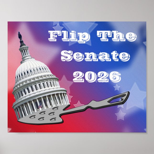 Affiche Flip The Senate Vote 2026 (Devant)