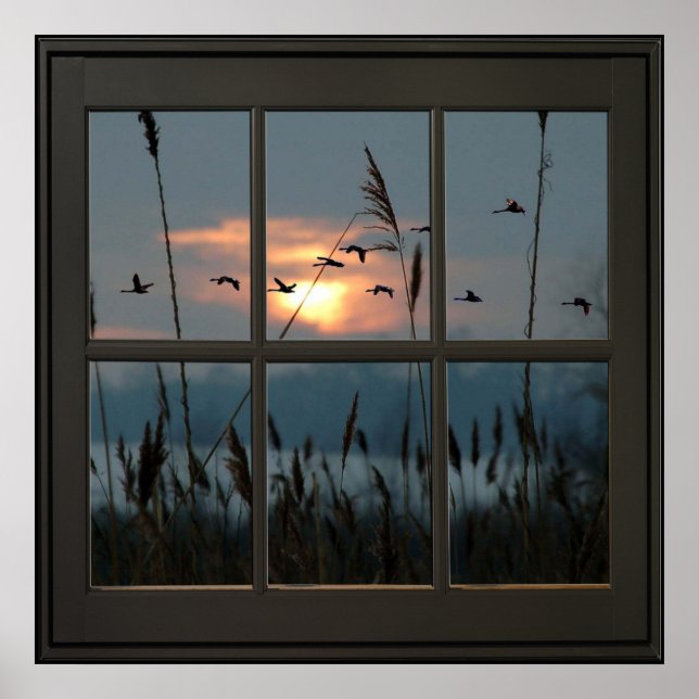 Affiche Flock of Birds Faux Window Illusion 24x24 Noir (Devant)