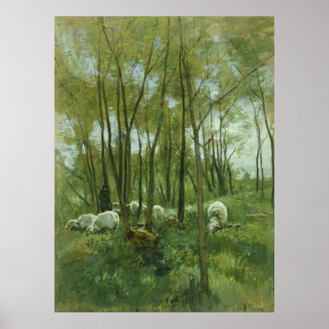 Affiche Flock of sheep in a forest, Anton Mauve (Devant)