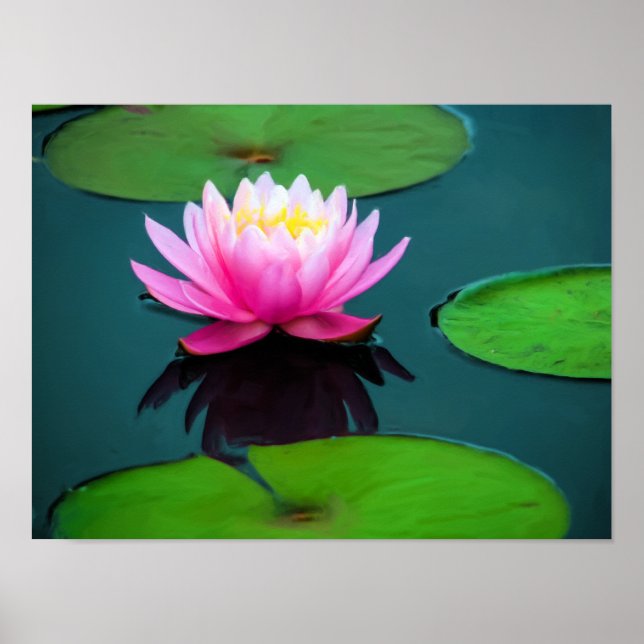 Affiche Flor 06 Ninféia Rosa (Devant)