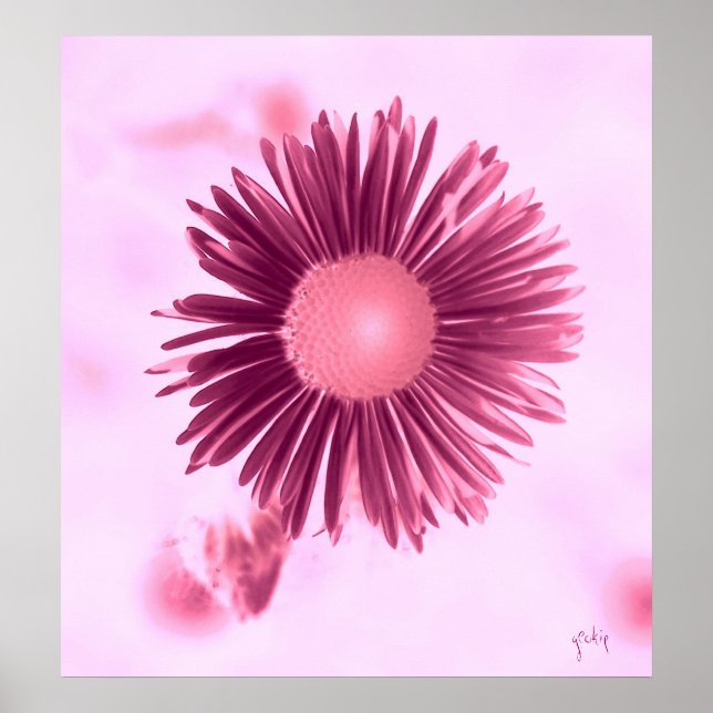 Affiche floral (Devant)