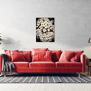 Affiche Floral blanc Abstrait