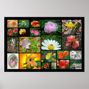 Affiche Floral Collage #2