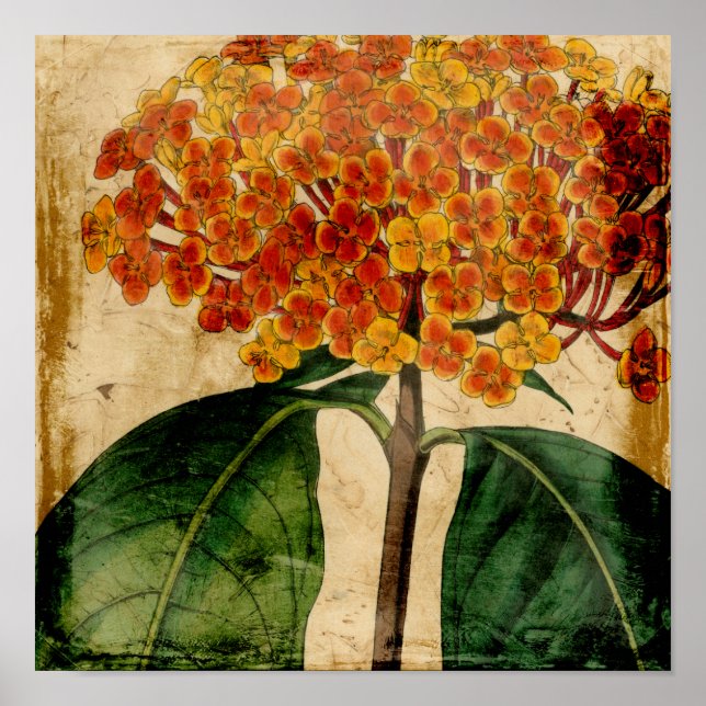 Affiche Floral I (Devant)