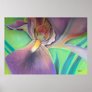 Affiche florale colorée   Impression botanique mod