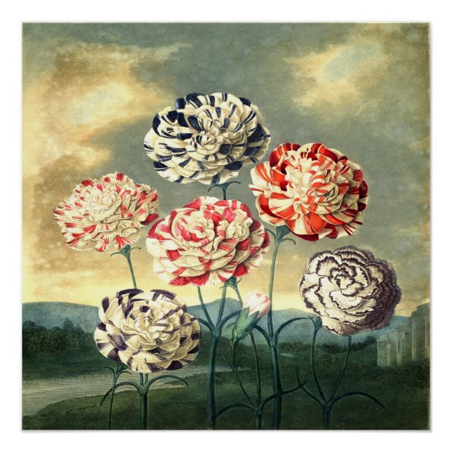 Affiche Florale Vintage (Devant)