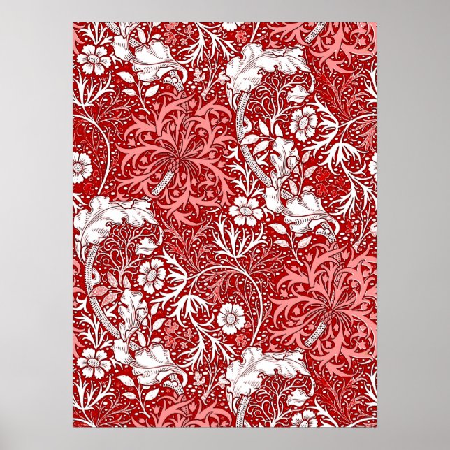 Affiche Flore d'algues Art nouveau, corail rouge et blanc (Devant)