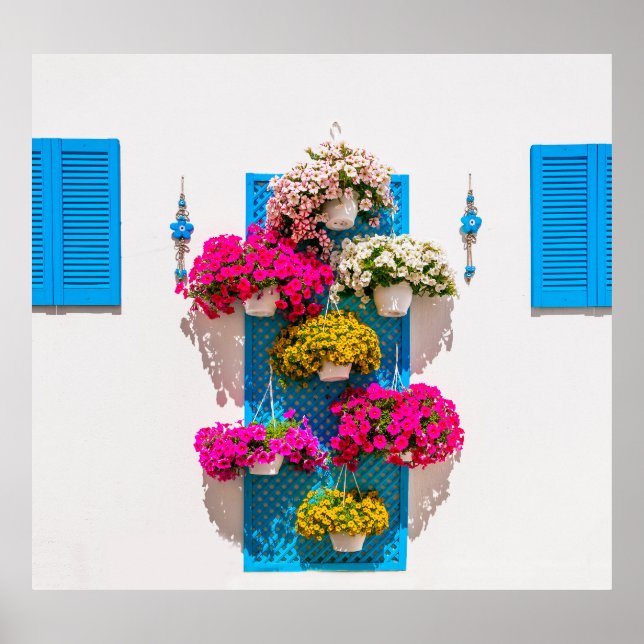 Affiche Flore ethnique : Mur de jardin (Devant)